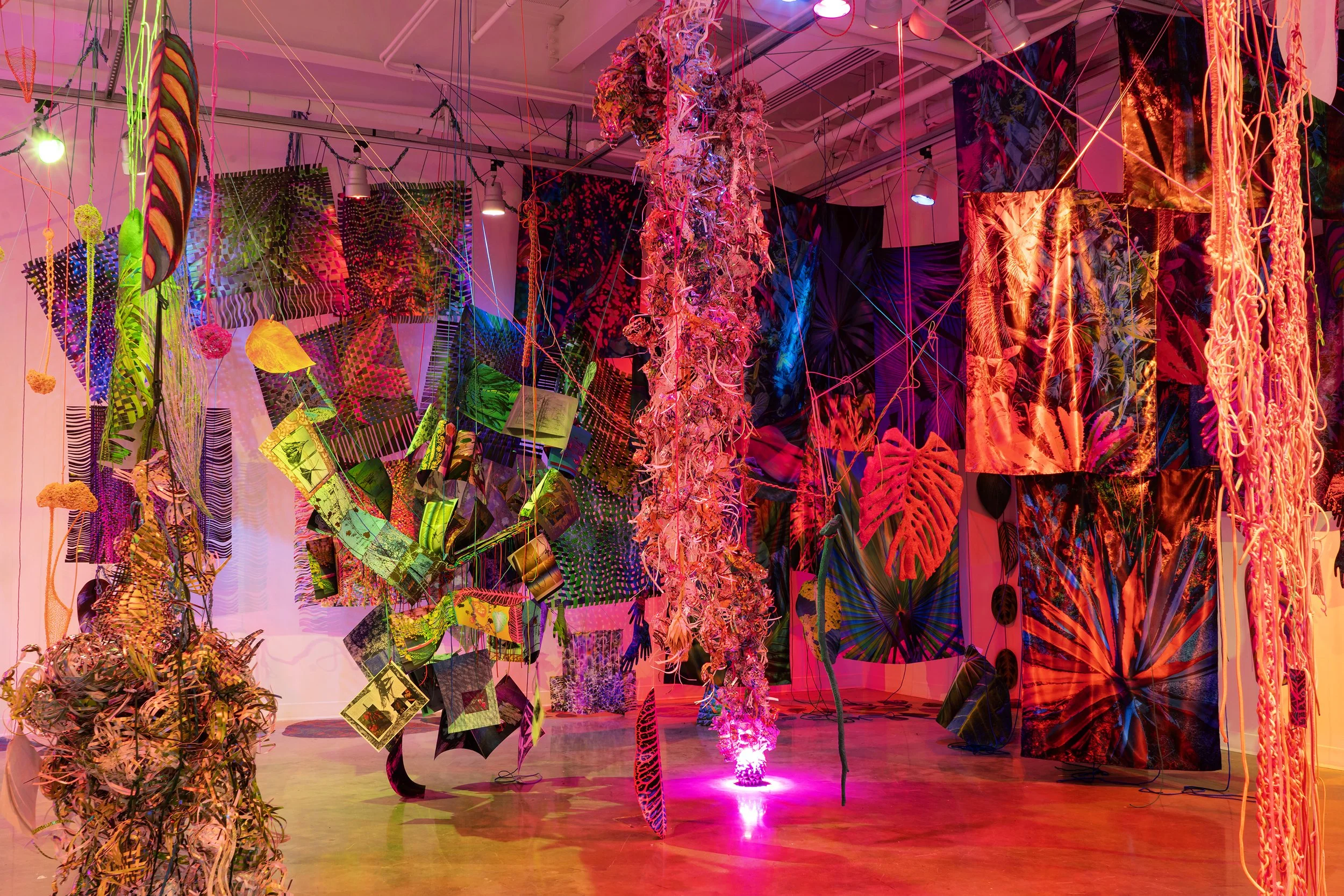 AIMÉE BEAUBIEN: INTO THE HOTHOUSE — Mason Exhibitions